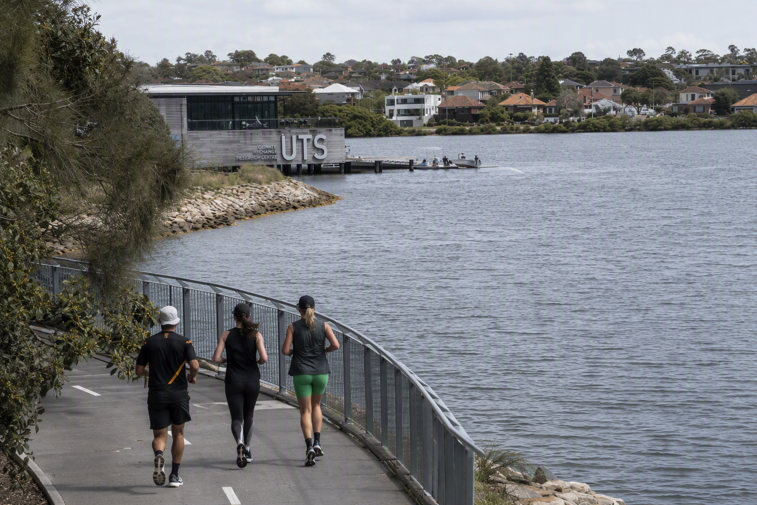 Three runners following the waterfront path beside Iron Cove on The Bay Run