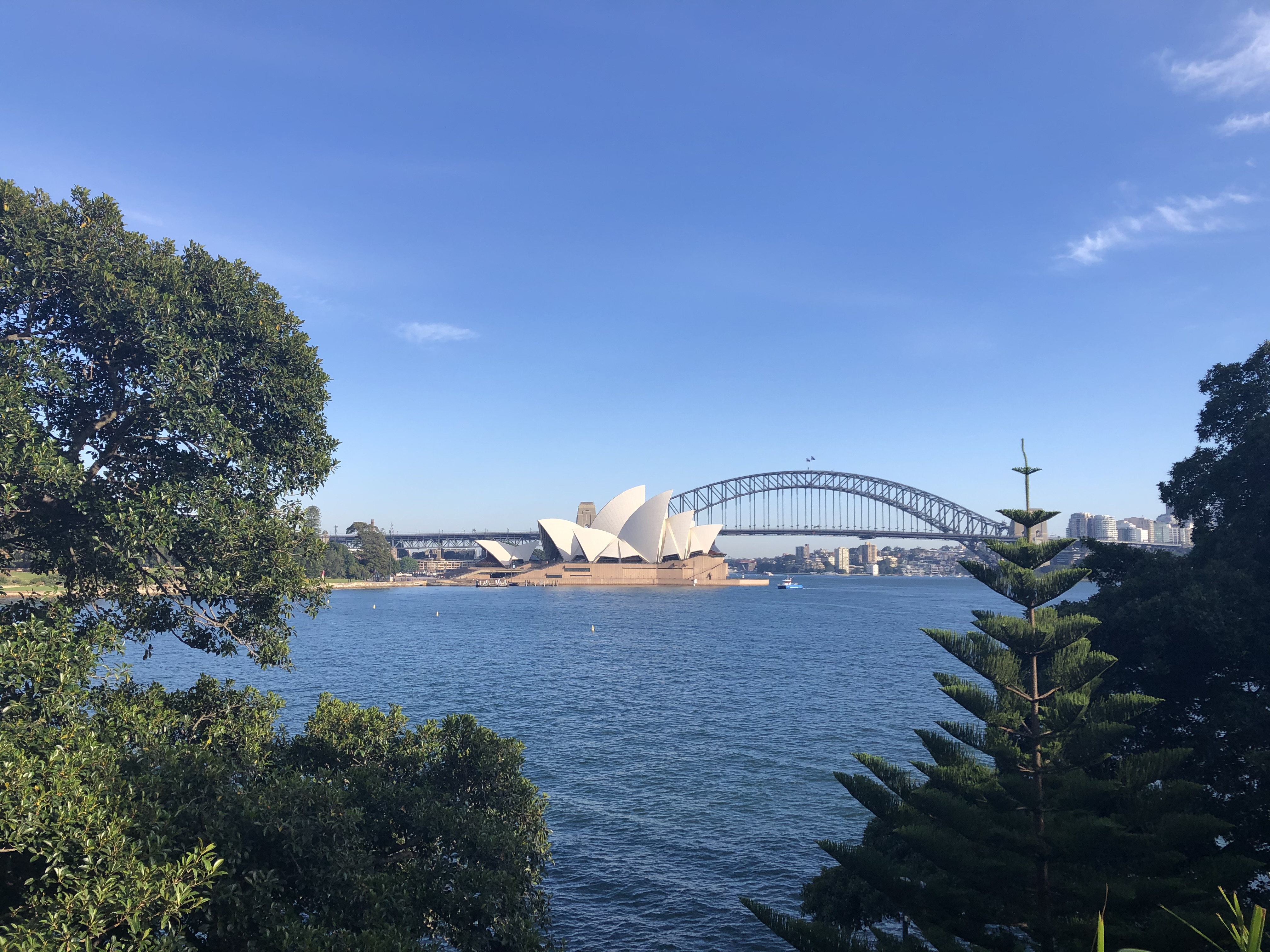 Opera House, Botanic Gardens and Harbour Bridge