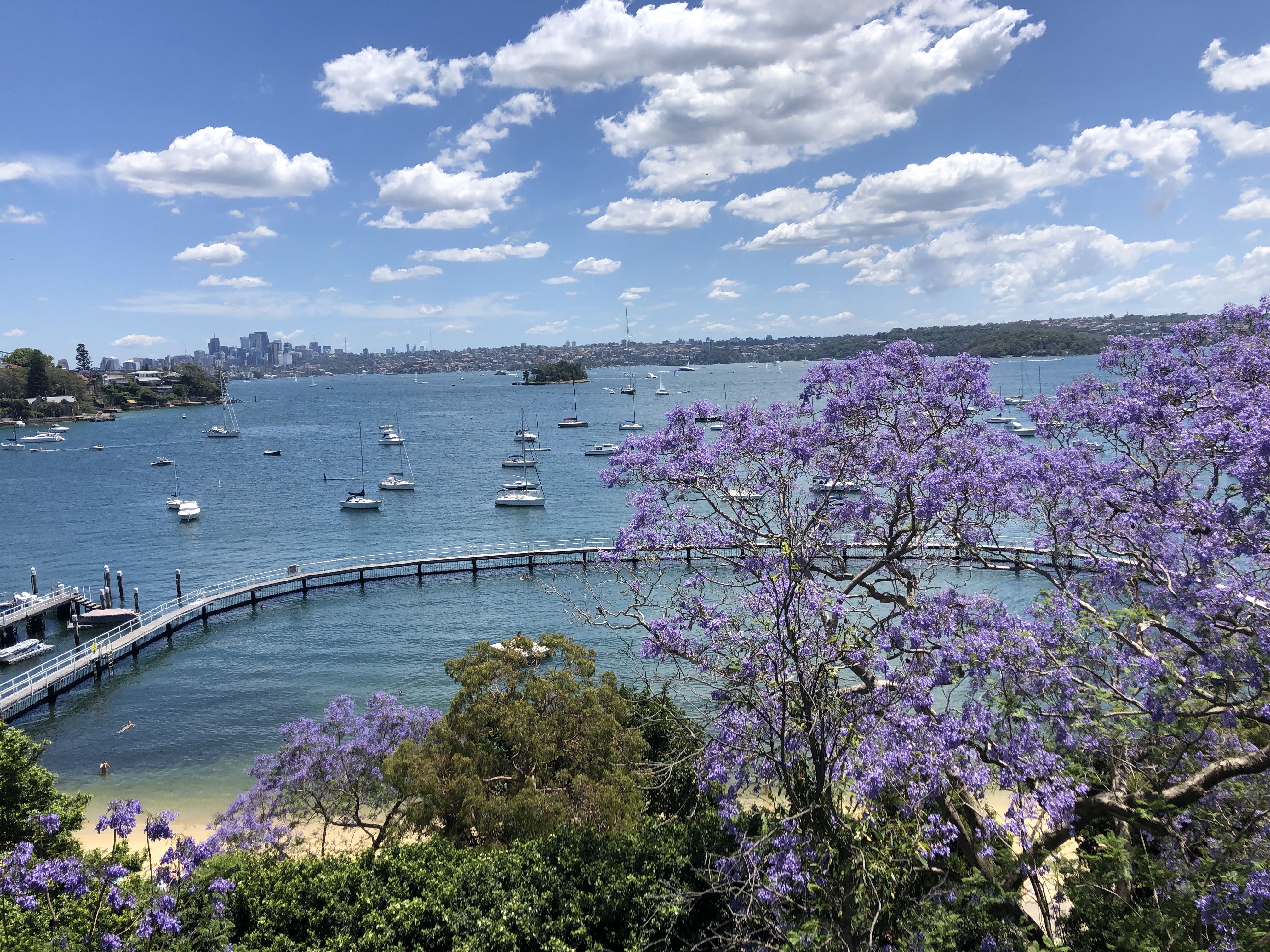Bondi Beach to Rose Bay