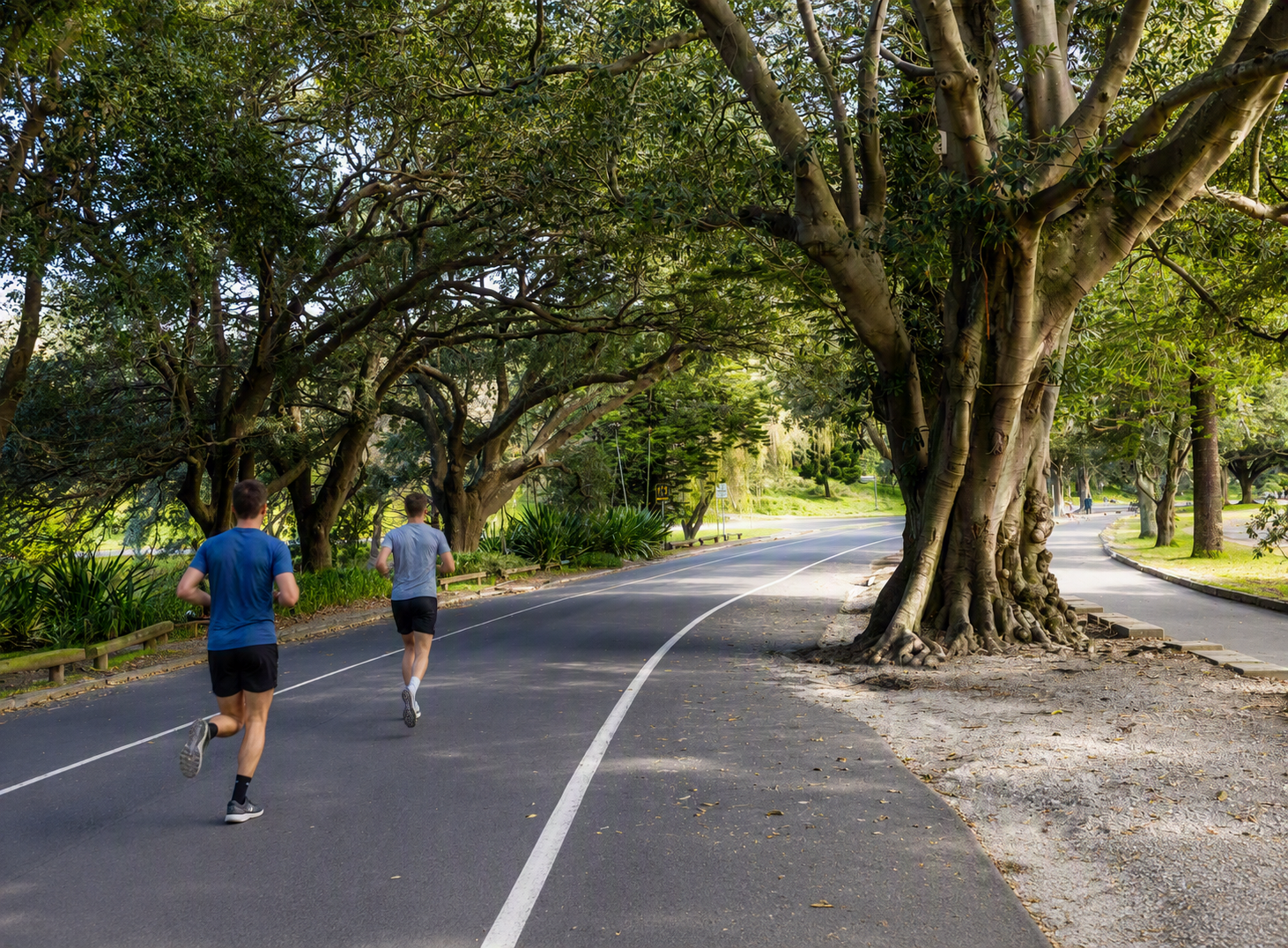 Centennial Park loop