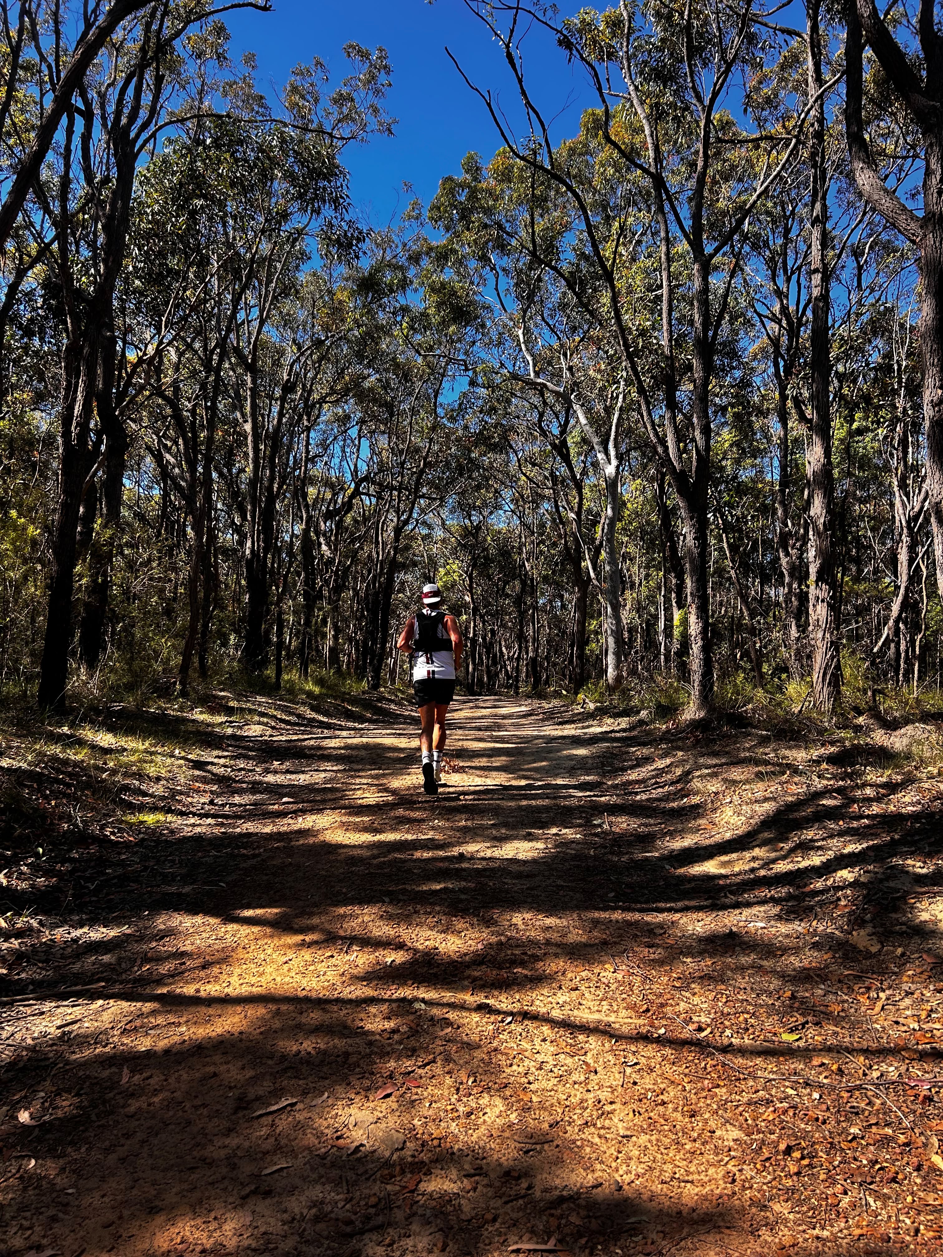 Manly Dam Circuit