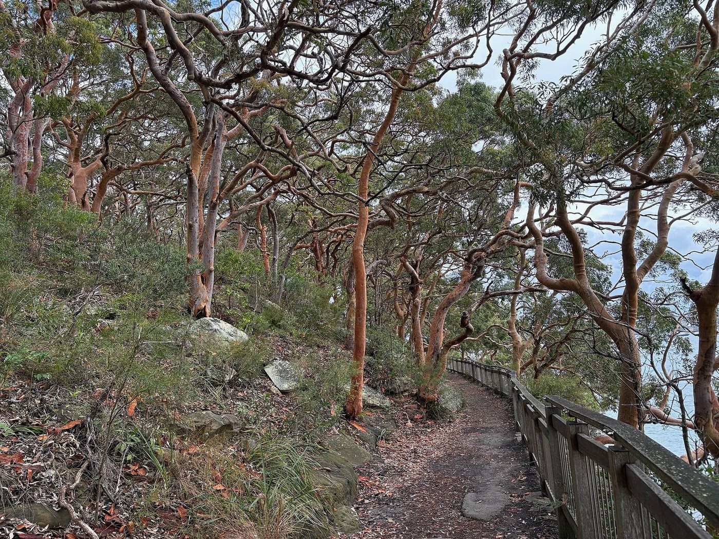 Bradleys Head point on the route