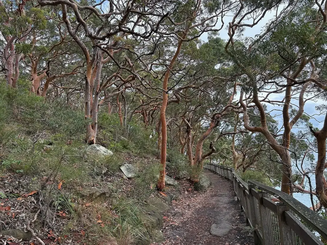 Bradleys Head point on the route