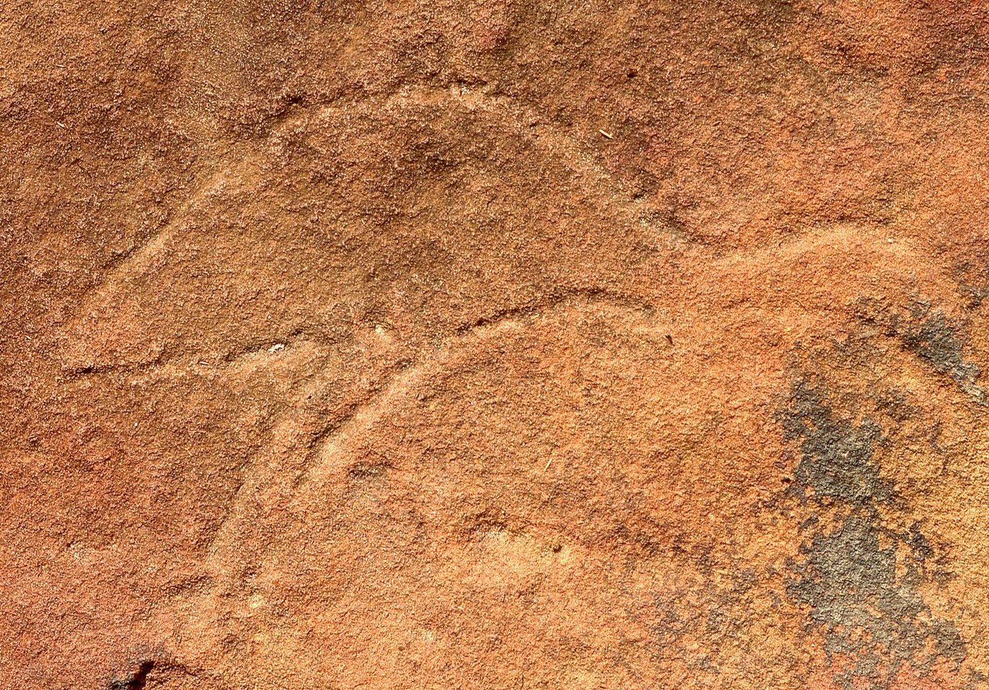 Grotto Point engravings on the route